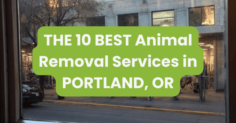 THE 10 BEST Animal Removal Services in PORTLAND, OR
