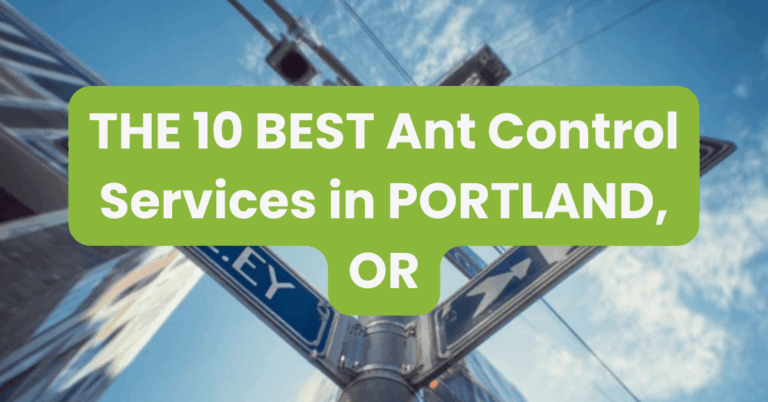THE 10 BEST Ant Control Services in PORTLAND, OR