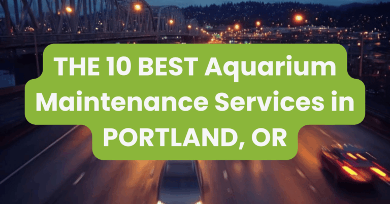 THE 10 BEST Aquarium Maintenance Services in PORTLAND, OR
