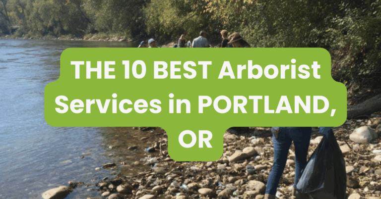 THE 10 BEST Arborist Services in PORTLAND, OR
