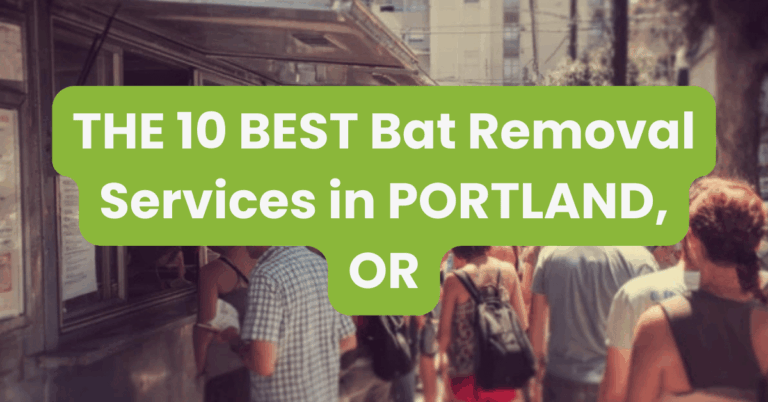 THE 10 BEST Bat Removal Services in PORTLAND, OR
