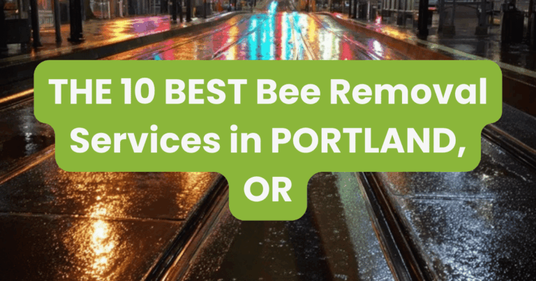 THE 10 BEST Bee Removal Services in PORTLAND, OR