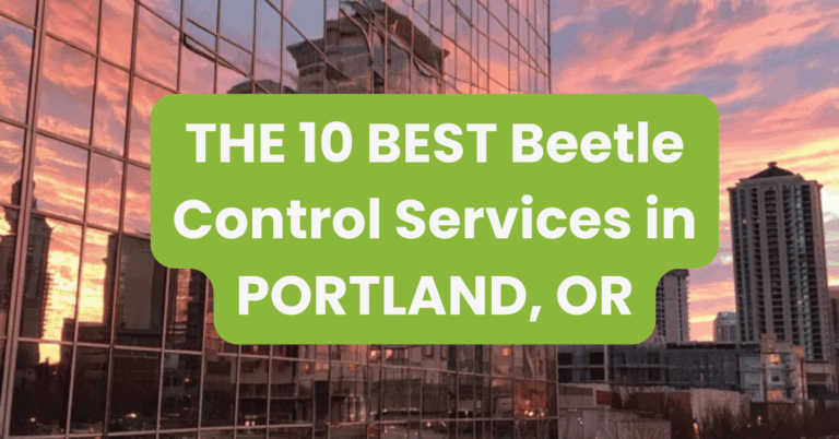 THE 10 BEST Beetle Control Services in PORTLAND, OR