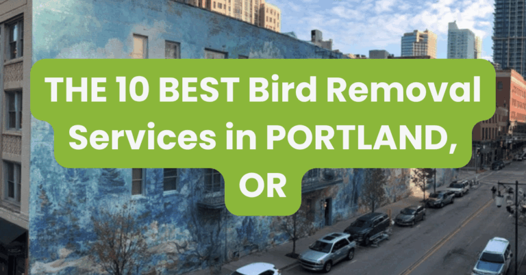 THE 10 BEST Bird Removal Services in PORTLAND, OR