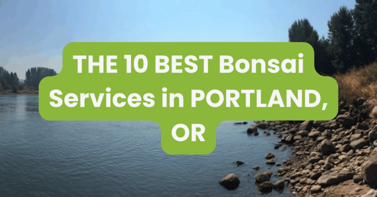 THE 10 BEST Bonsai Services in PORTLAND, OR