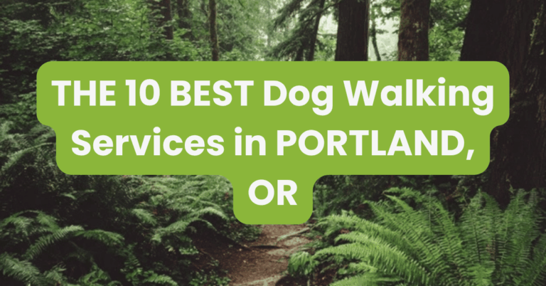THE 10 BEST Dog Walking Services in PORTLAND, OR