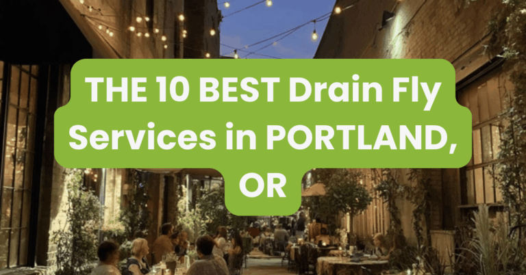 THE 10 BEST Drain Fly Services in PORTLAND, OR