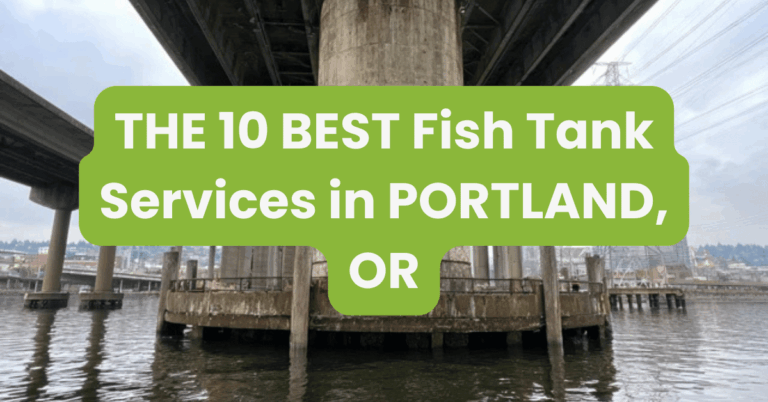 THE 10 BEST Fish Tank Services in PORTLAND, OR