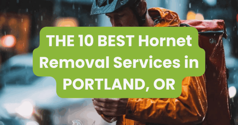THE 10 BEST Hornet Removal Services in PORTLAND, OR