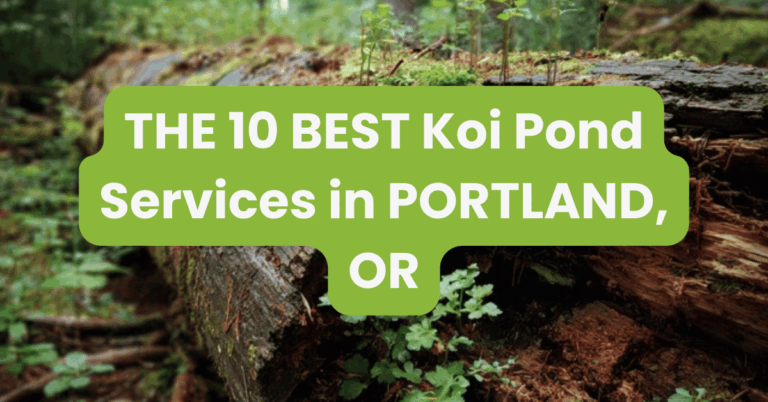 THE 10 BEST Koi Pond Services in PORTLAND, OR
