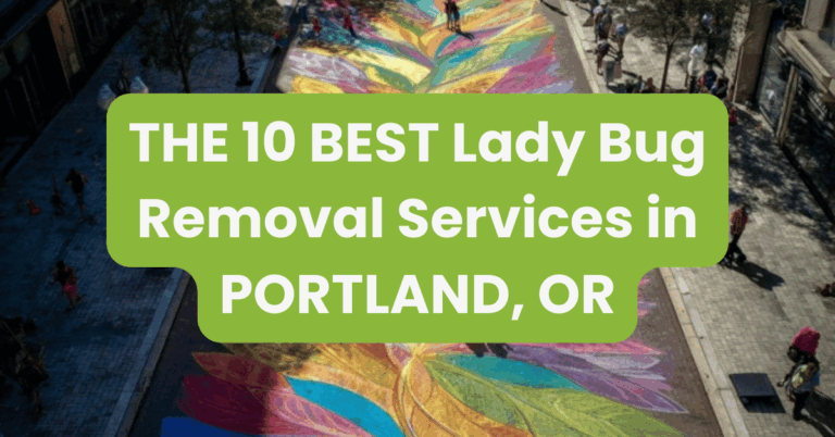 THE 10 BEST Lady Bug Removal Services in PORTLAND, OR
