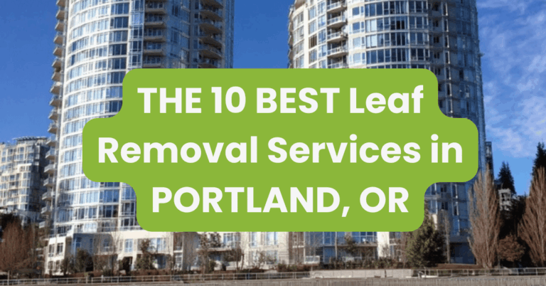 THE 10 BEST Leaf Removal Services in PORTLAND, OR