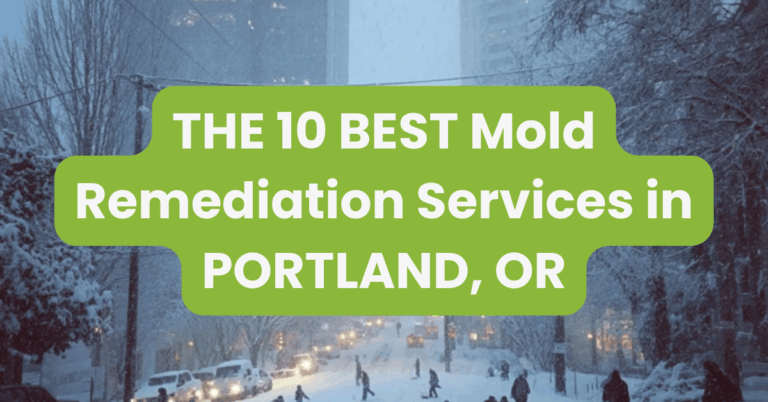 THE 10 BEST Mold Remediation Services in PORTLAND, OR