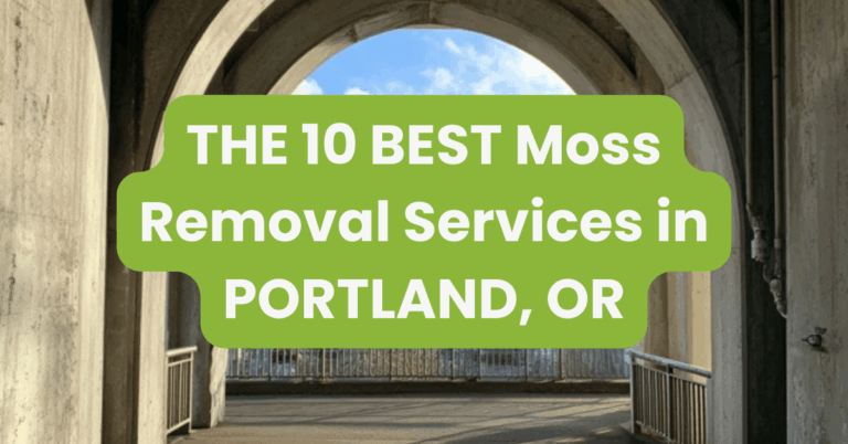 THE 10 BEST Moss Removal Services in PORTLAND, OR