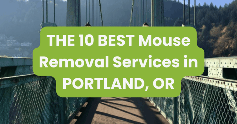 THE 10 BEST Mouse Removal Services in PORTLAND, OR