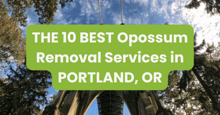 THE 10 BEST Opossum Removal Services in PORTLAND, OR
