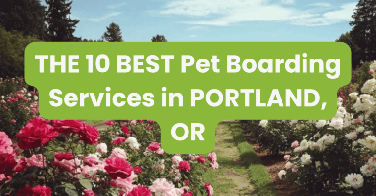 THE 10 BEST Pet Boarding Services in PORTLAND, OR