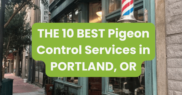 THE 10 BEST Pigeon Control Services in PORTLAND, OR