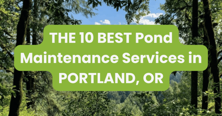THE 10 BEST Pond Maintenance Services in PORTLAND, OR
