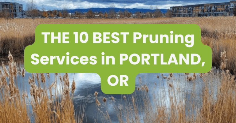 THE 10 BEST Pruning Services in PORTLAND, OR