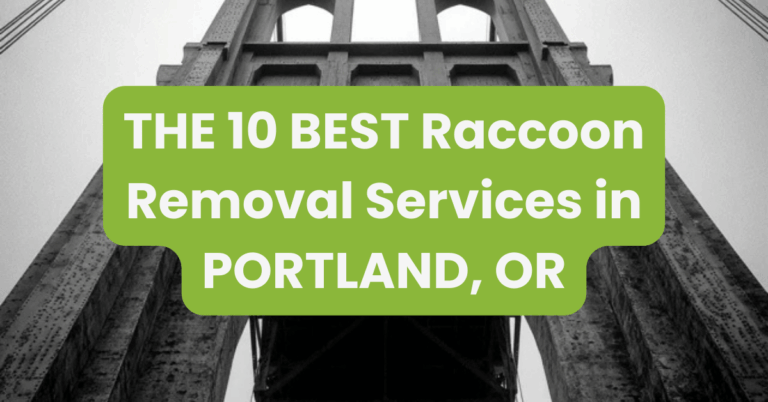 THE 10 BEST Raccoon Removal Services in PORTLAND, OR
