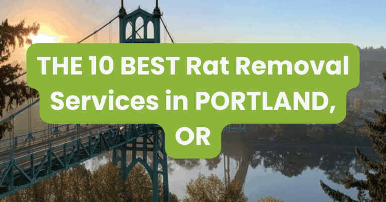 THE 10 BEST Rat Removal Services in PORTLAND, OR
