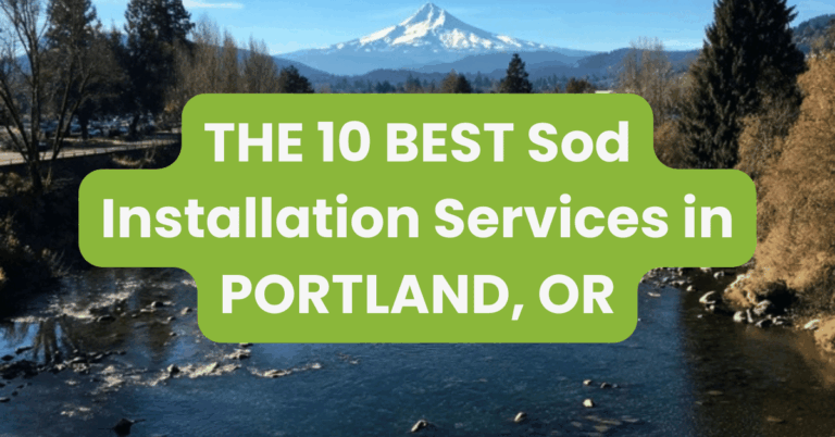 THE 10 BEST Sod Installation Services in PORTLAND, OR