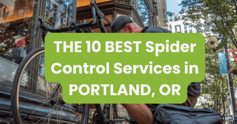 THE 10 BEST Spider Control Services in PORTLAND, OR