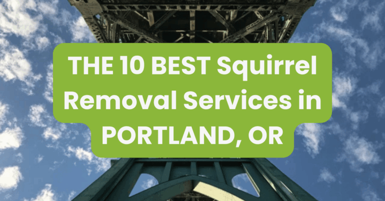 THE 10 BEST Squirrel Removal Services in PORTLAND, OR