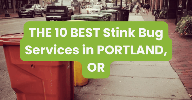 THE 10 BEST Stink Bug Services in PORTLAND, OR