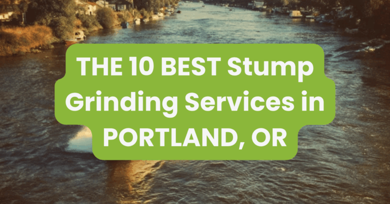 THE 10 BEST Stump Grinding Services in PORTLAND, OR