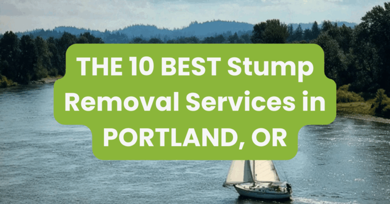 THE 10 BEST Stump Removal Services in PORTLAND, OR