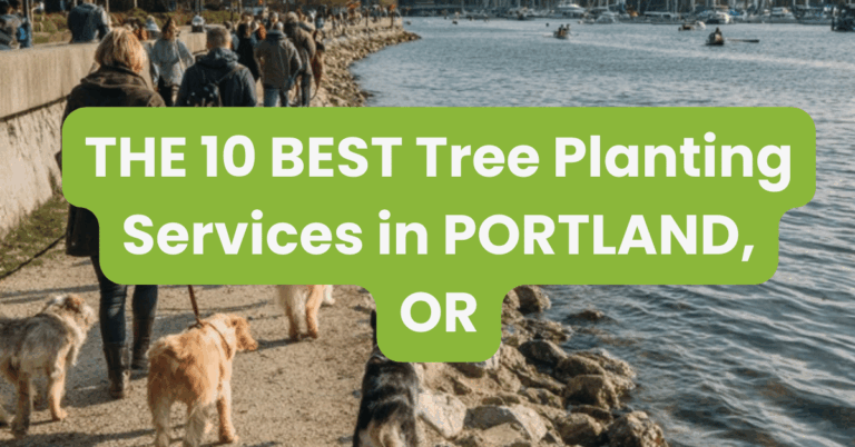THE 10 BEST Tree Planting Services in PORTLAND, OR