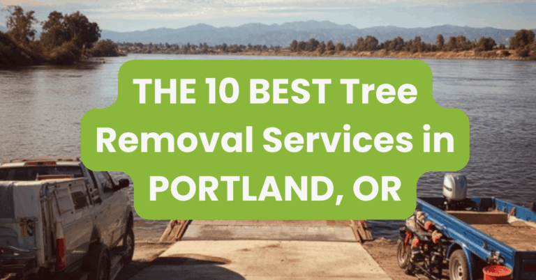 THE 10 BEST Tree Removal Services in PORTLAND, OR