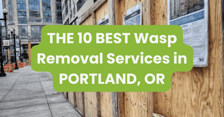 THE 10 BEST Wasp Removal Services in PORTLAND, OR