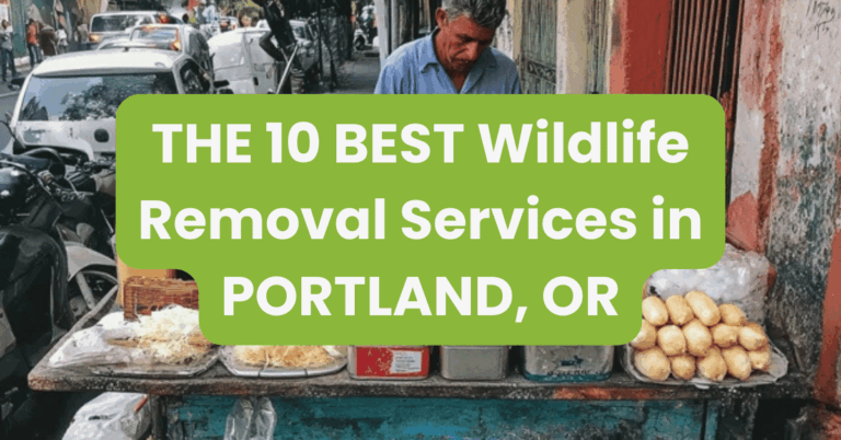 THE 10 BEST Wildlife Removal Services in PORTLAND, OR